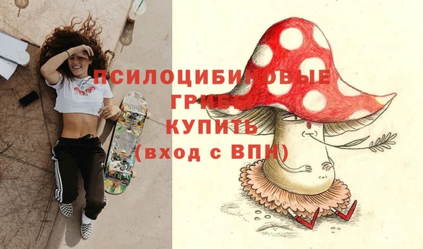 винт Богородск