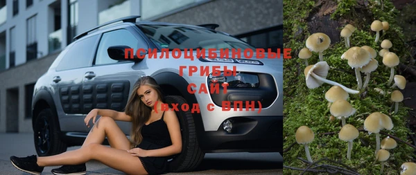 прущие крисы Богданович