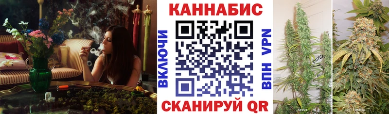 Каннабис MAZAR Муравленко